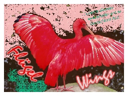 Mail-Art 2011 - Deutschland - Wings / Flgel - Jeanette Geissler - Fotomontage