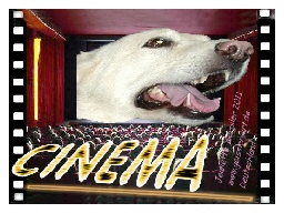 Mail-Art 2011 - Italien - Cinema / Kino - Jeanette Geissler - Fotomontage