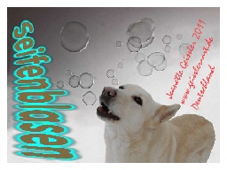 Mail-Art Projekt Niederlande 2011 - Thema: Seifenblasen / Blowingbubbles - Jeanette Geissler Mailart 2011 - Niederlande - Seifenblasen / Blowingbubbles - Jeanette Geissler - Fotomontage
